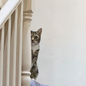 Meet your Posher, Cleo